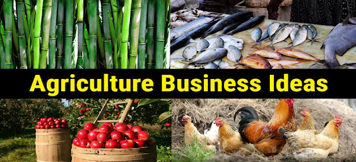 Best Agriculture Business Ideas for New Entrepreneurs